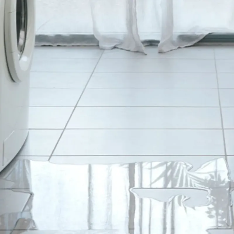 Appliance Leak Cleanup in Frederic, WI