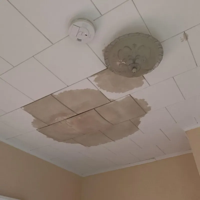 Ceiling Water Damage Repair in Frederic, WI
