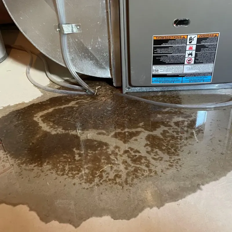 Pipe Burst and Leak Restoration in Frederic, WI