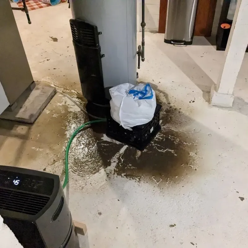 Sewage Backup Cleanup Service in Frederic, WI